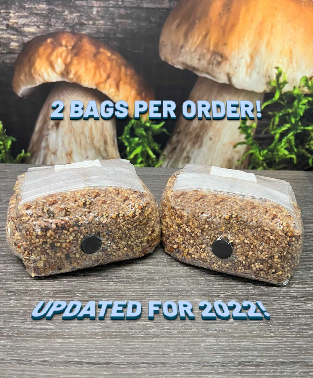 ten 2.5 and 3 lb  rye berry grain mushroom spawn bags with injection port 