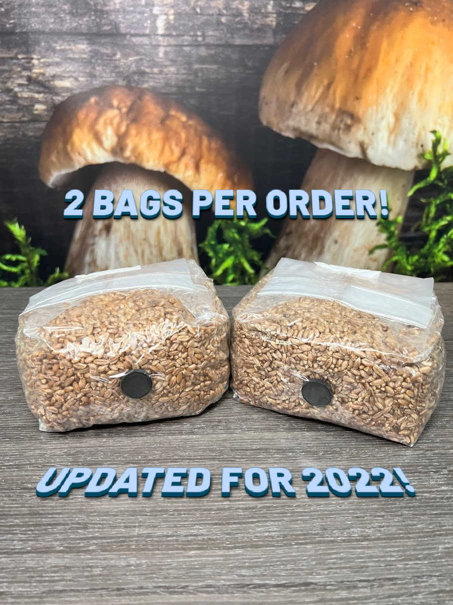 Sterilized Rye Berry Mushroom Substrate Grain Spawn Bag With Filter Patch 