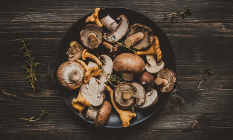 The Environmental Impact of Homegrown Mushrooms