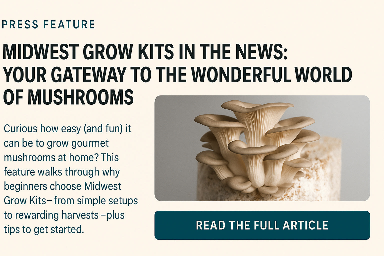 Midwest Grow Kits: Featured in San Francisco Post’s Mushroom Growing Article