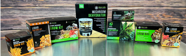 Mushroom growing tools and lab equipment — scalpels, syringes, thermometers, and sterile inoculation supplies.