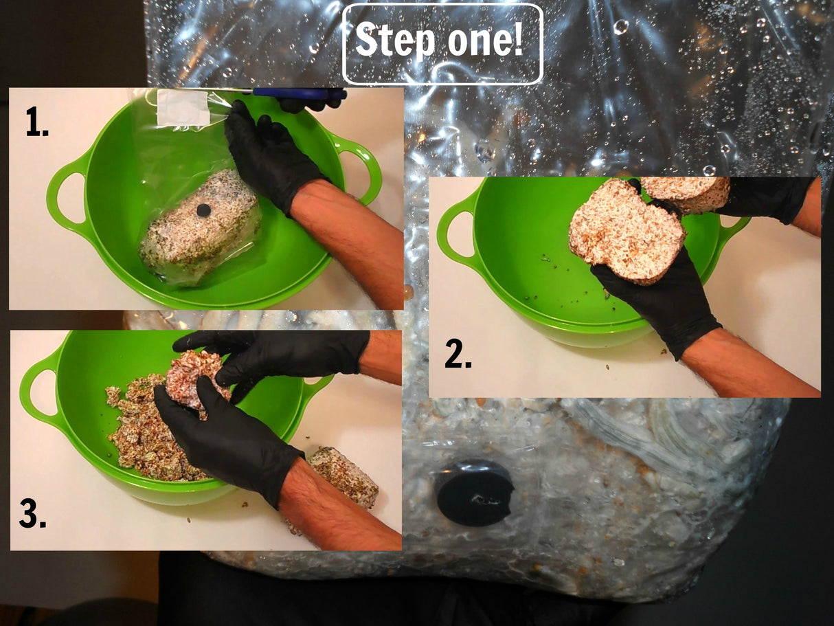 Instructions break up the bag