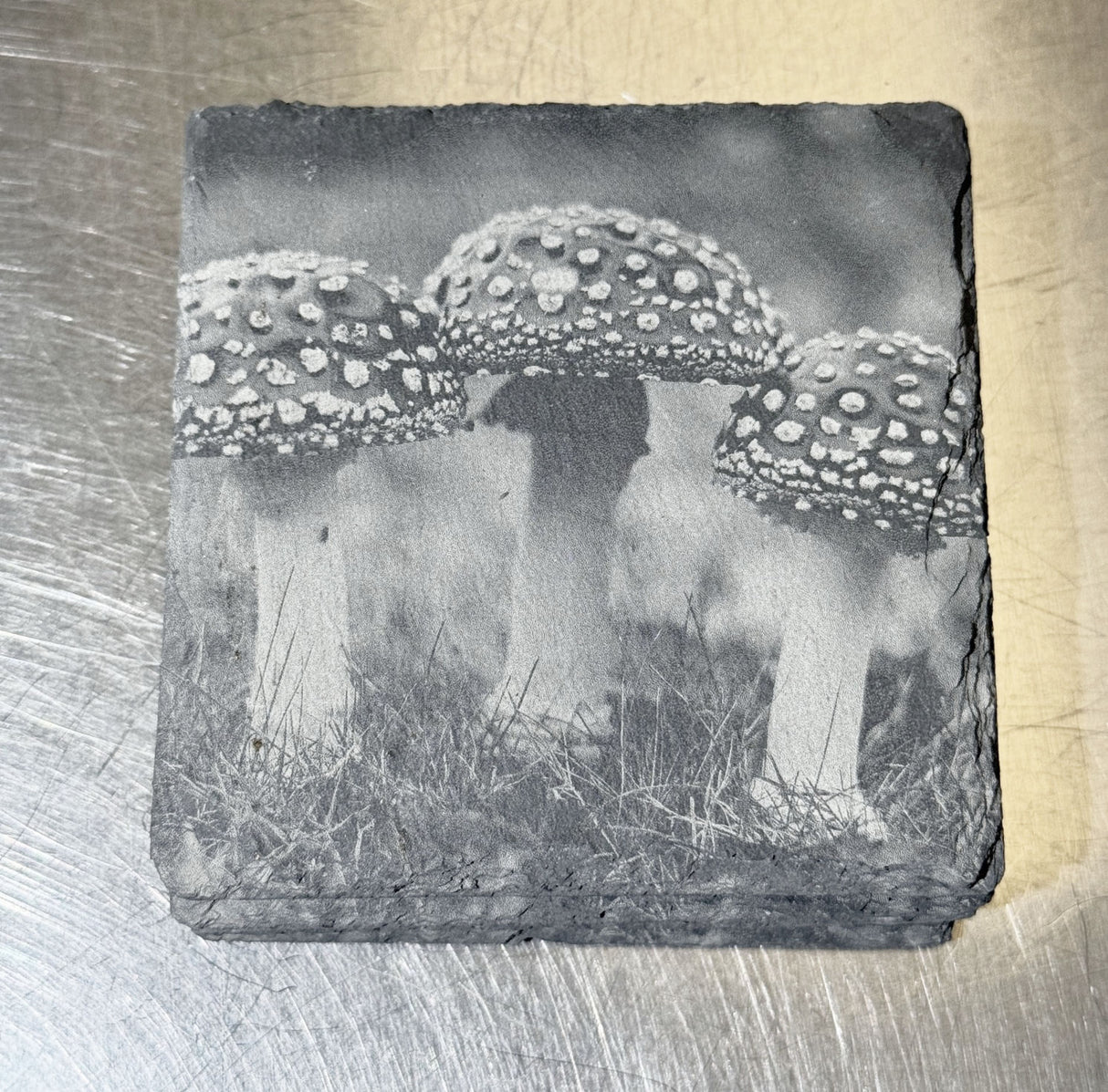 Natural Slate Laser Engraved Mushroom Coasters
