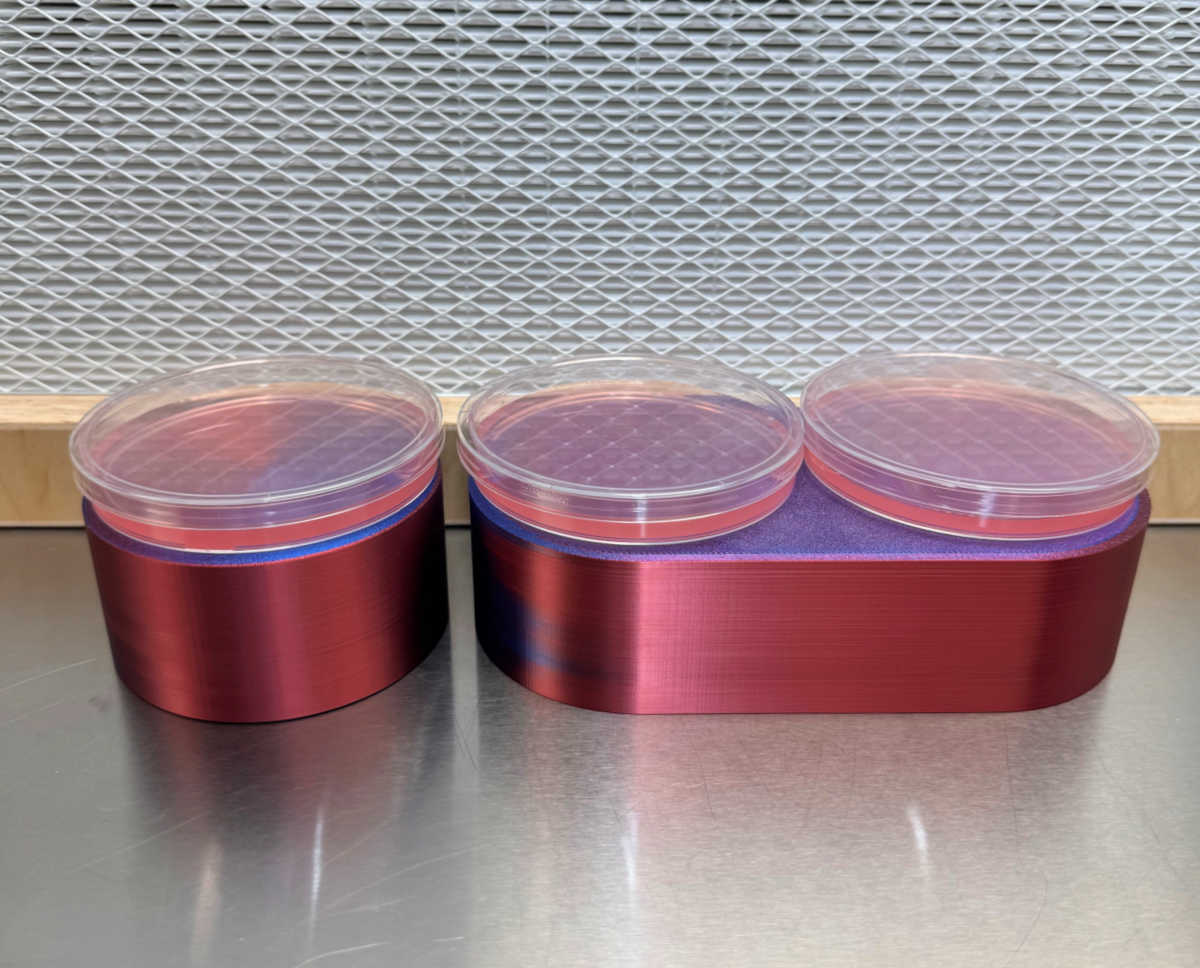 Bonsai Mini 3D Elevated Workspace Platform Table Risers (Set of 2)