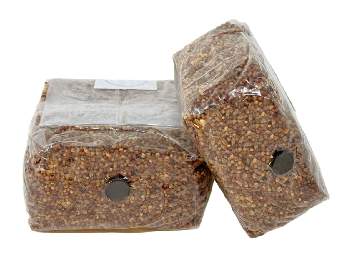 Premium 5-Grain Spawn Bags 2 pack