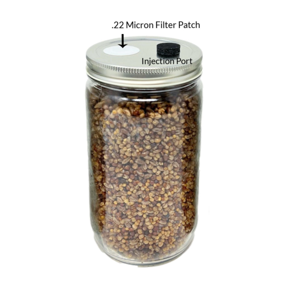 Premium Quick-Colonizing 5-grain Jar (32oz)