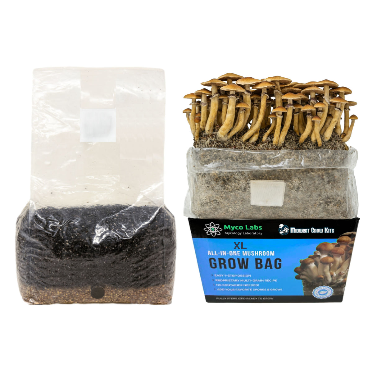 All in One Mushroom growing kit with grow bag and packaging on a white background