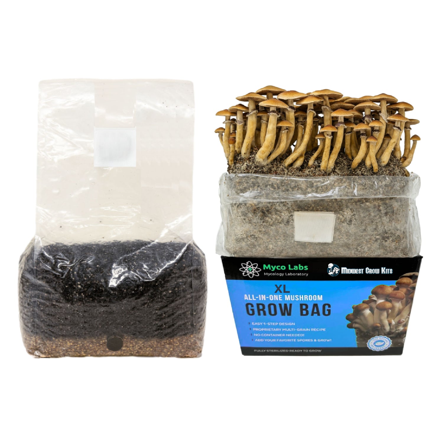 All in One Mushroom growing kit with grow bag and packaging on a white background