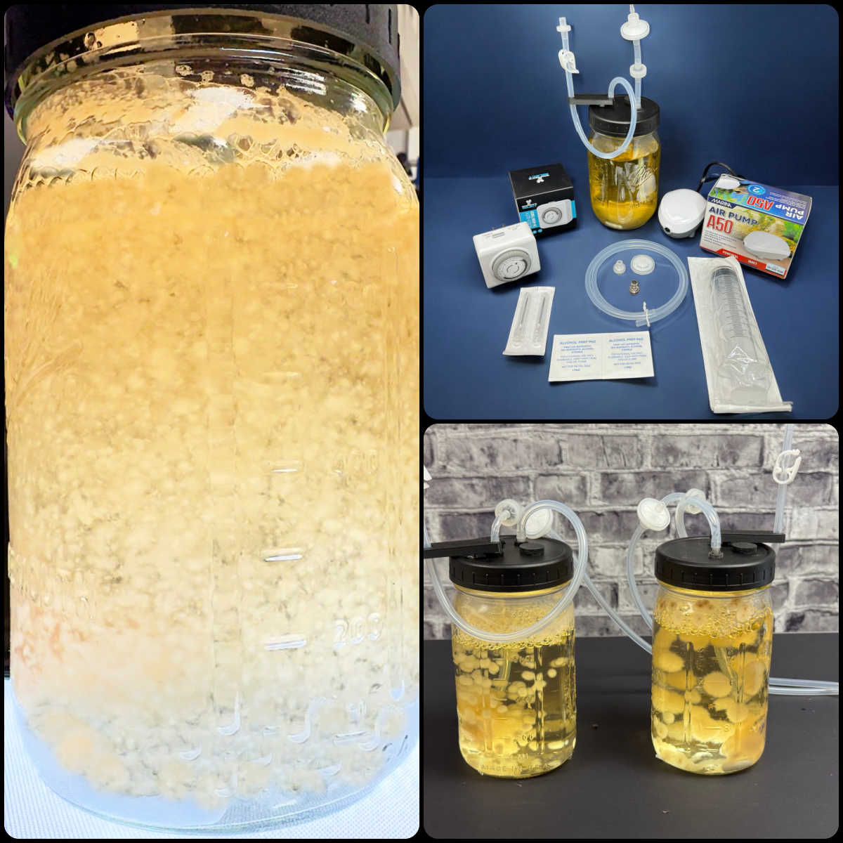 Active Air Infused Complete XL Liquid Culture System collage