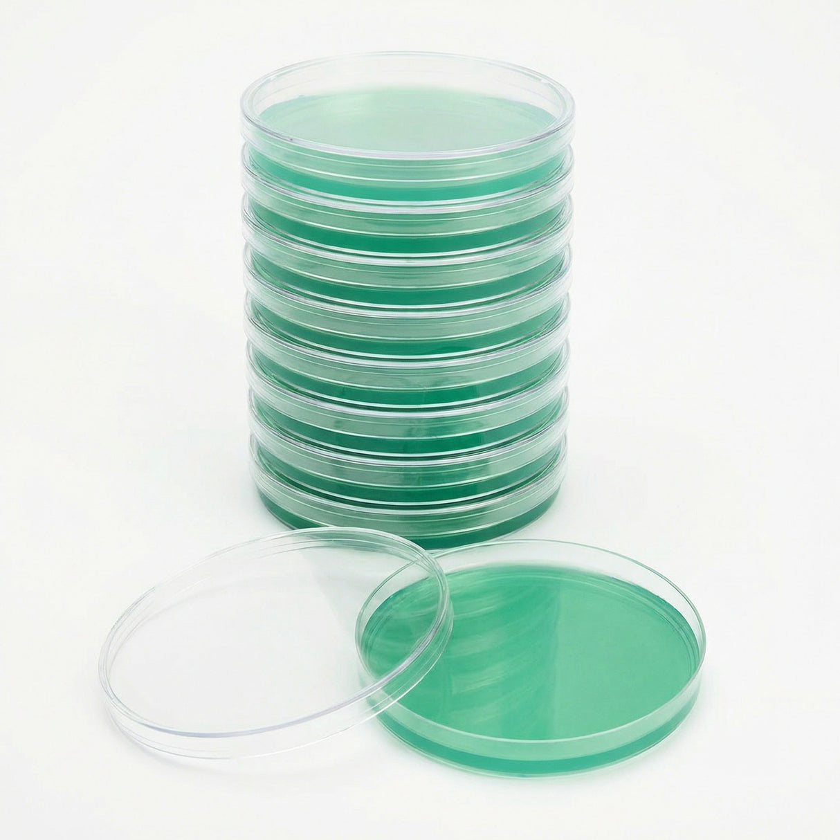 Stack of green agar petri dishes on a white background