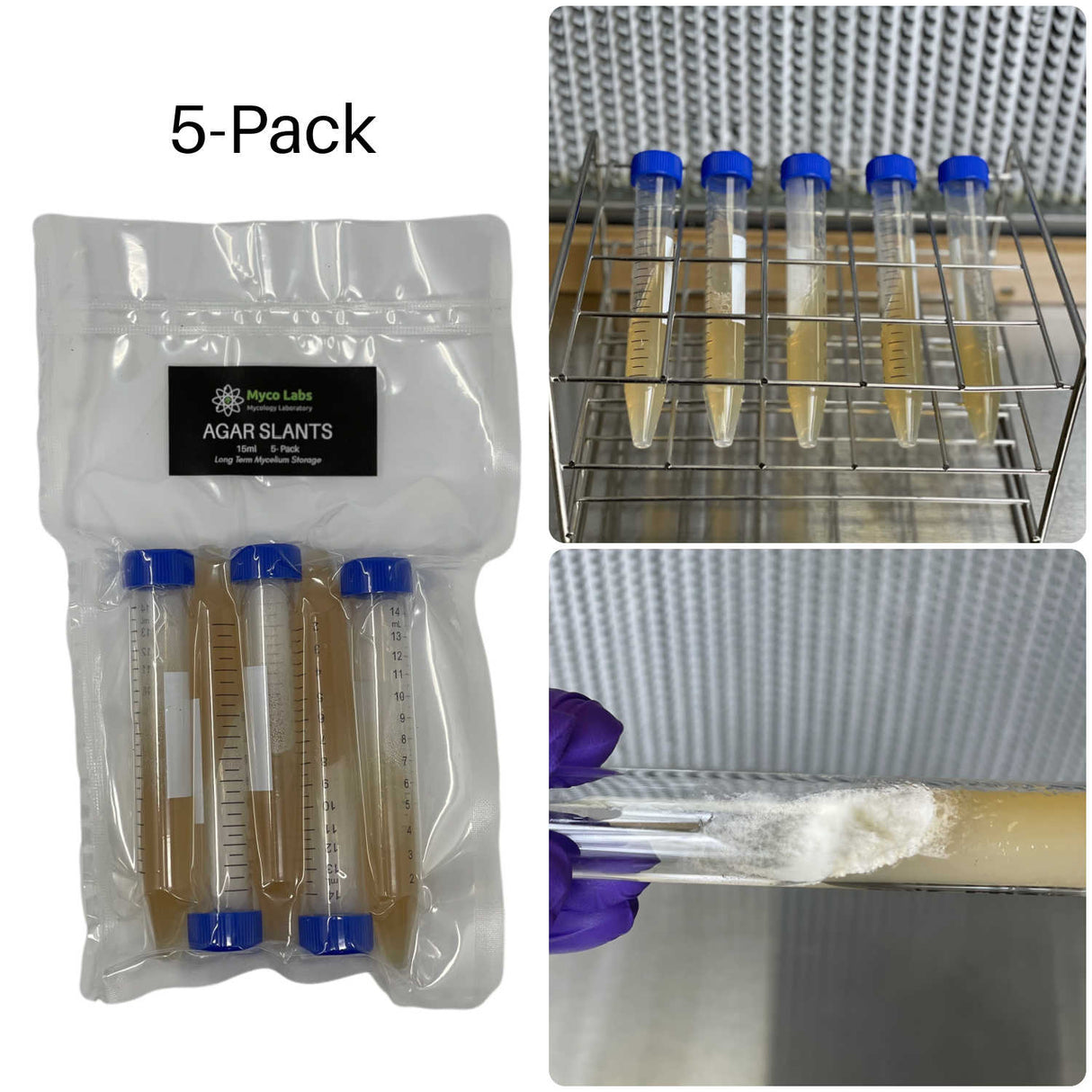 Sterilized Malt Extract Agar Slants