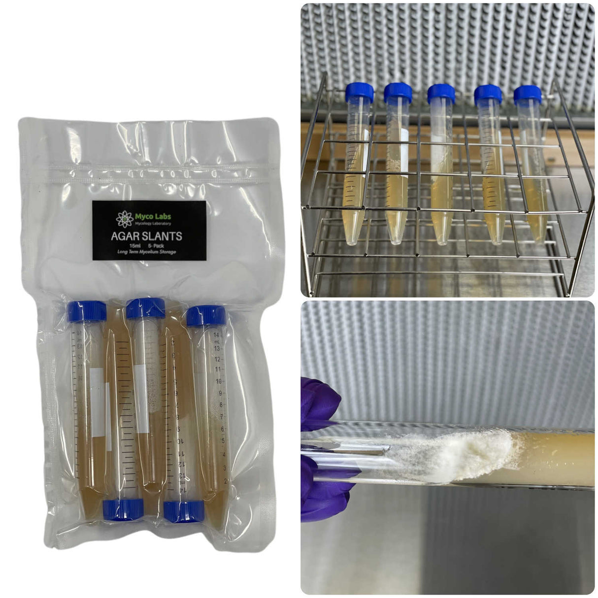 Sterilized Malt Extract Agar Slants (5-Pack)