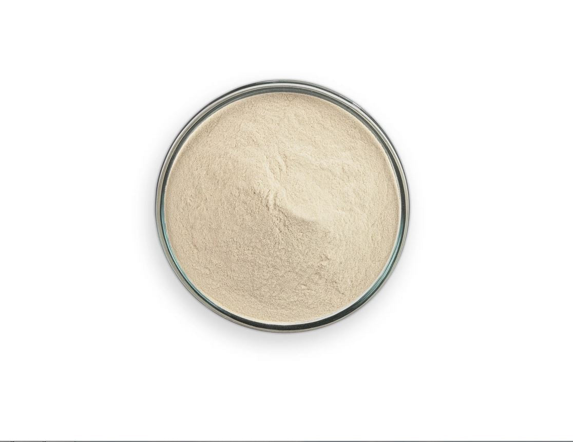 agar powder