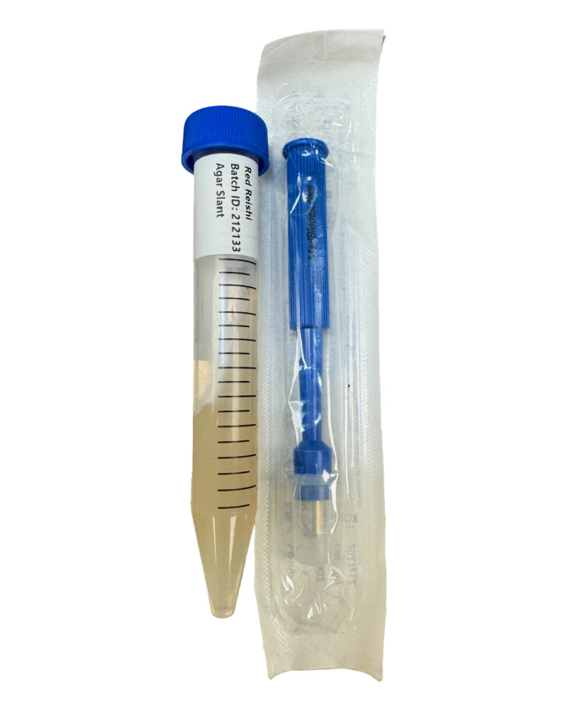 Live Mushroom Culture on Agar Slant (Your Choice)