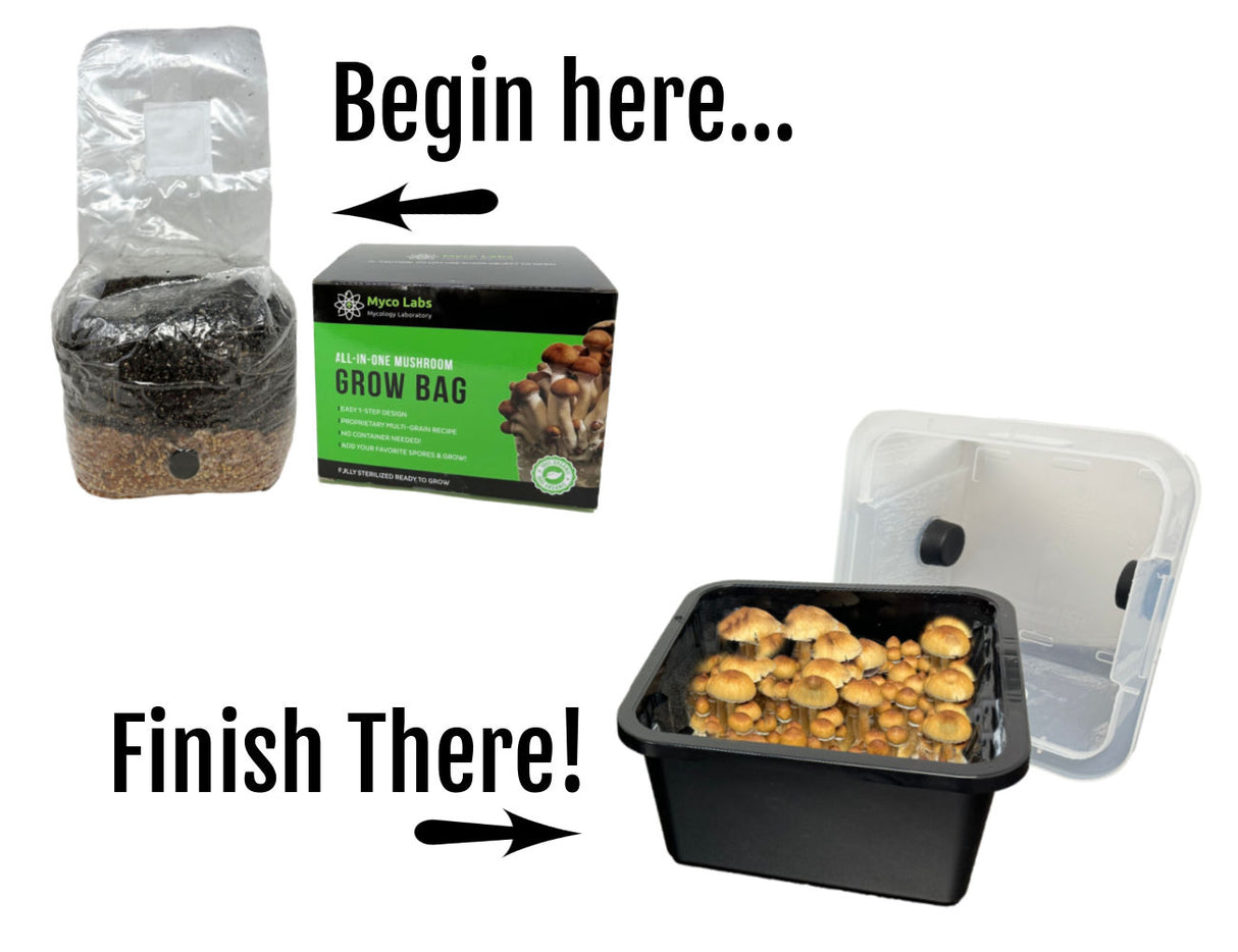 All-in-One Mushroom Monotub Starter Grow Kit (6 LBS) start and finish