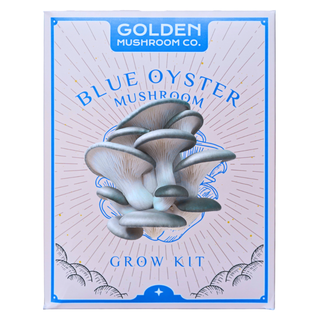 Blue Oyster Mushroom Grow Kit 3LB - Retail Case Pack (10 Kits)