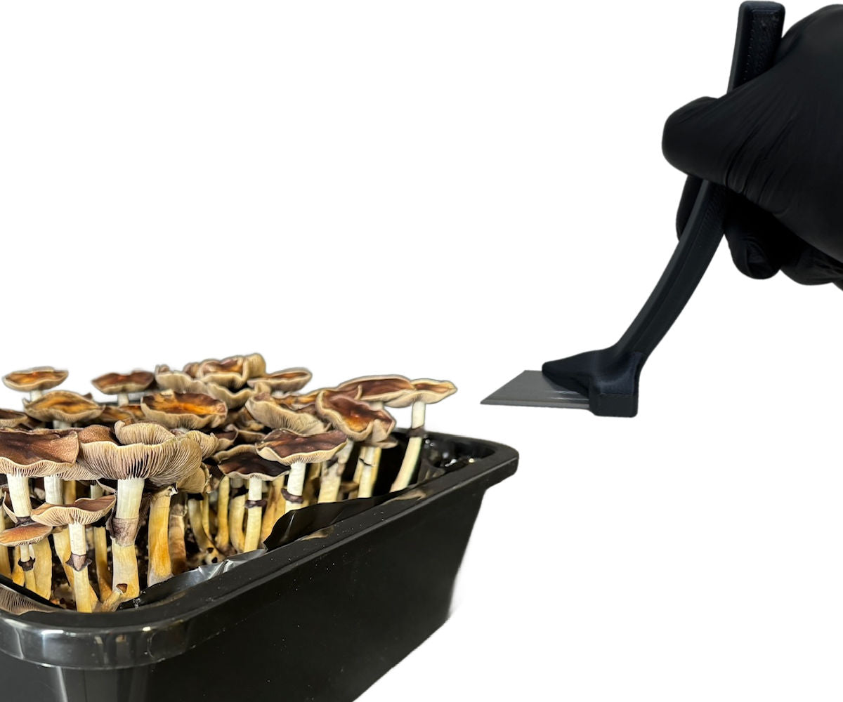 The Canopy Cutter - Mushroom Monotub Harvesting Tool