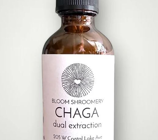 Chaga Dual Extraction Organic Mushroom Tincture Close up