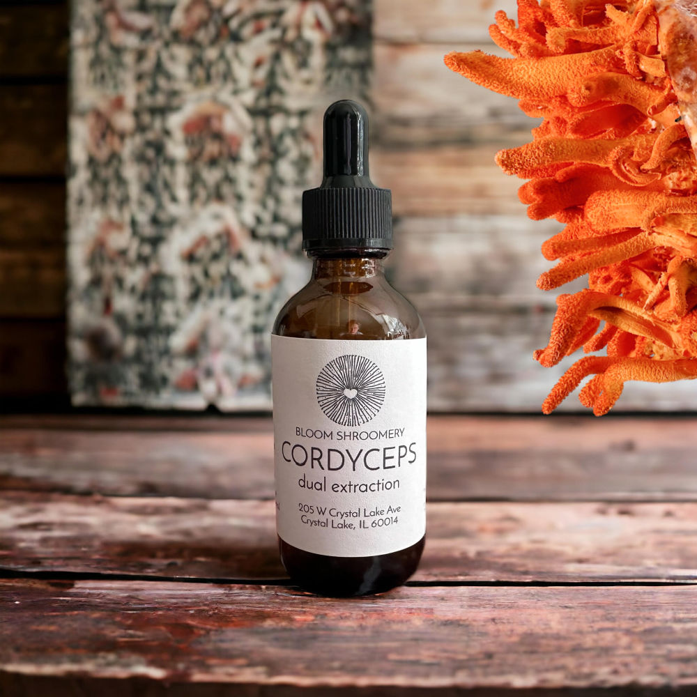 Cordyceps Militaris Mushroom Tincture