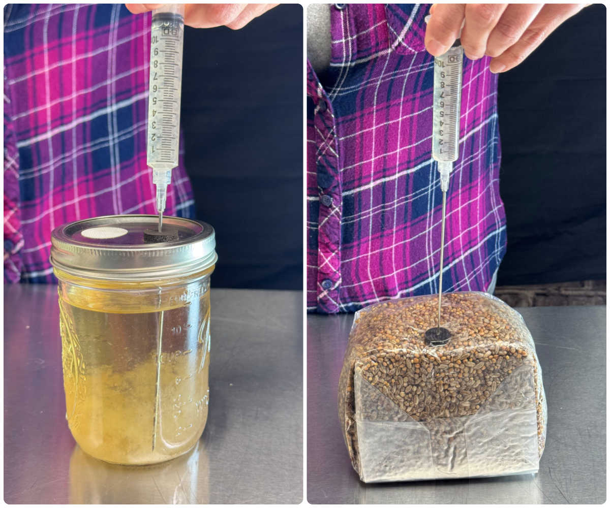 Deep_draw_collage_inject_web_1