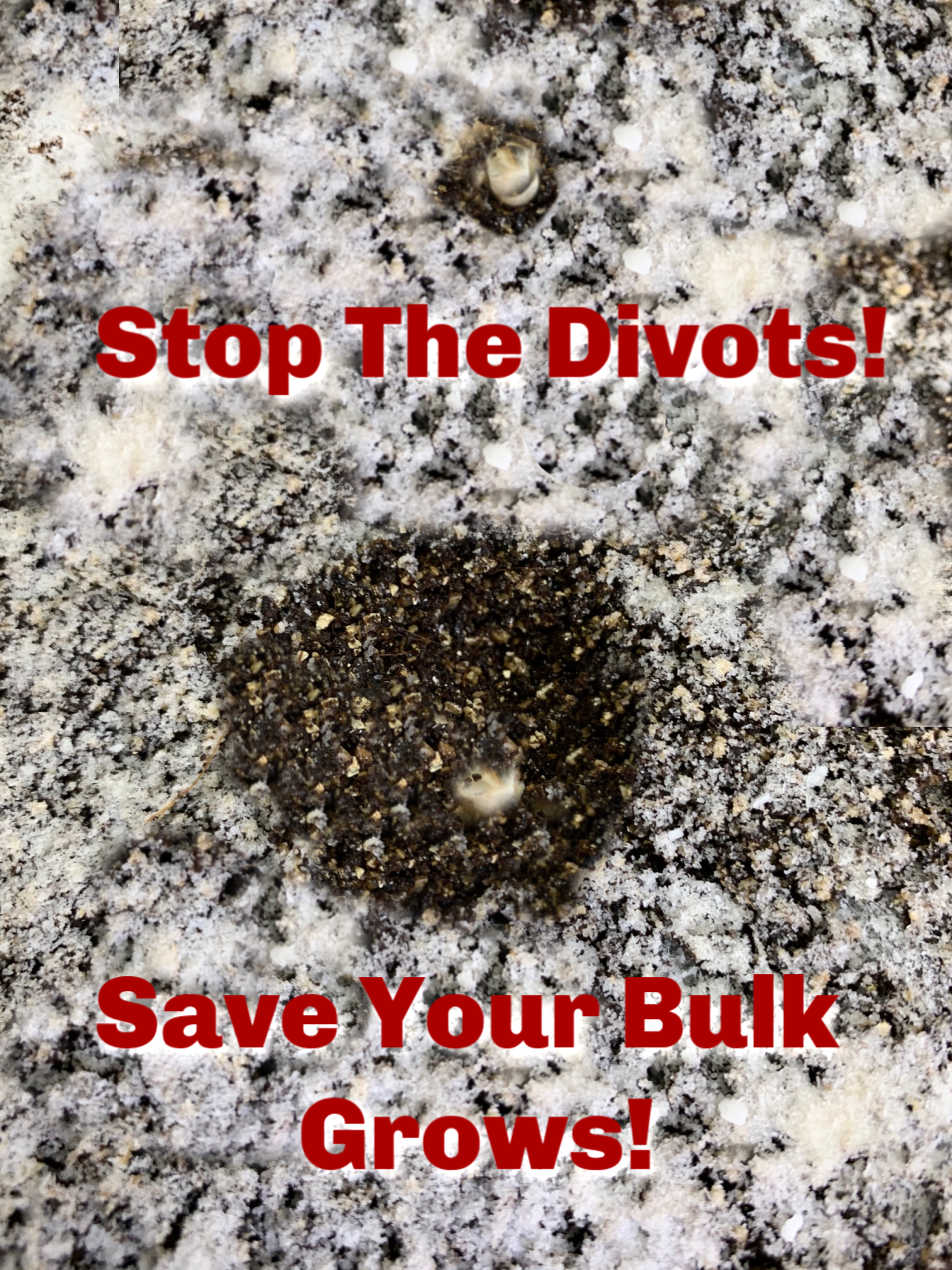 no more divots