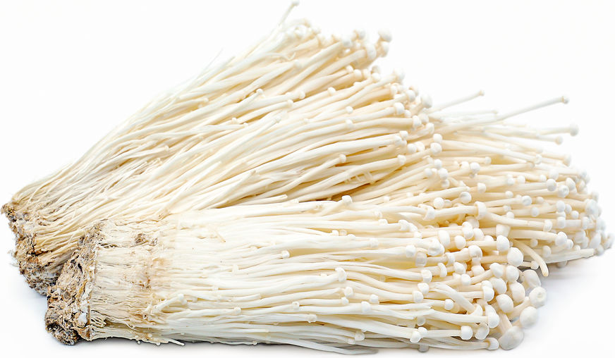 White Enoki (Enokitake) mushrooms
