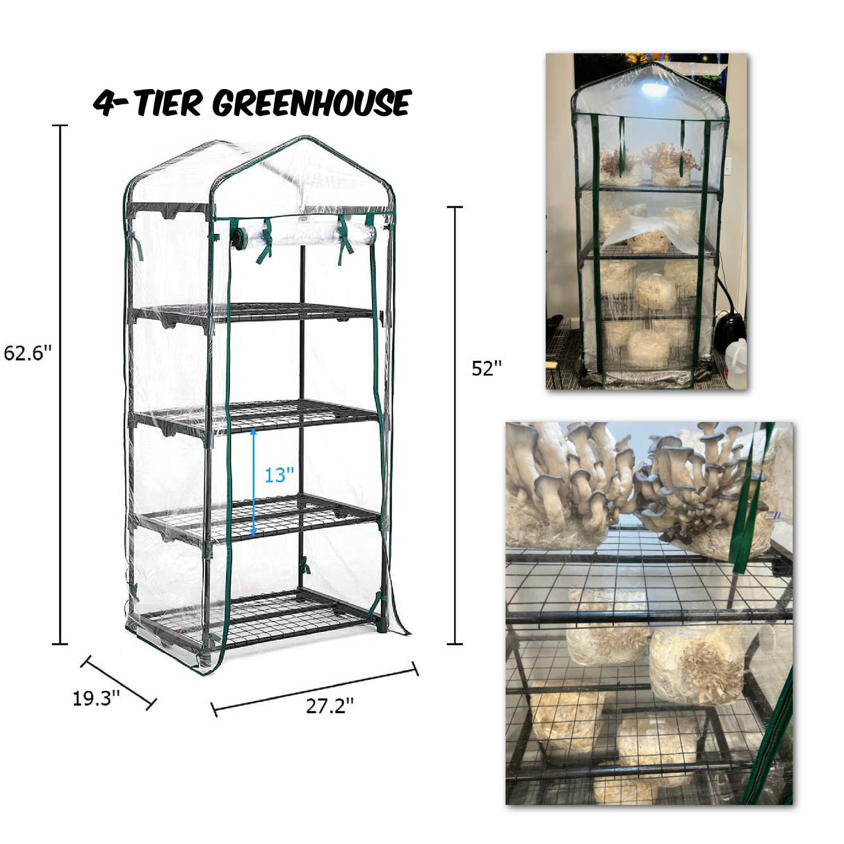 Indoor Mushroom Greenhouse Shelf Martha Fruiting tent (4 or 5 Tier)
