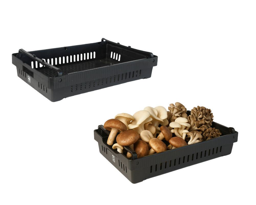 Mushroom Harvest & Drying Tray
