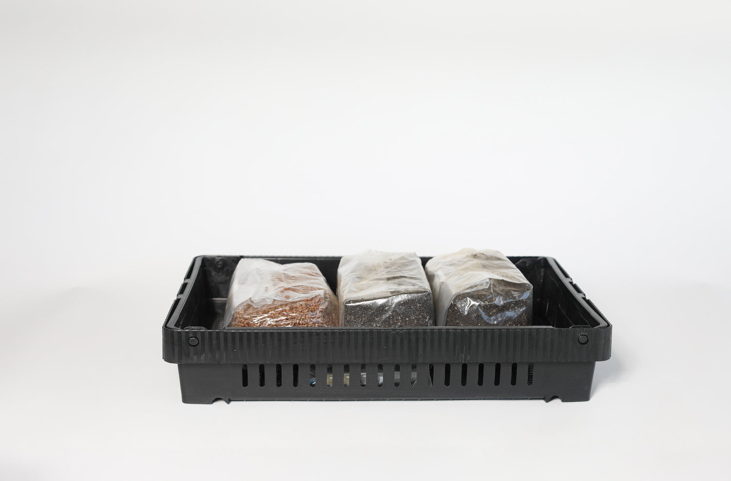 Mushroom Harvest & Drying Tray