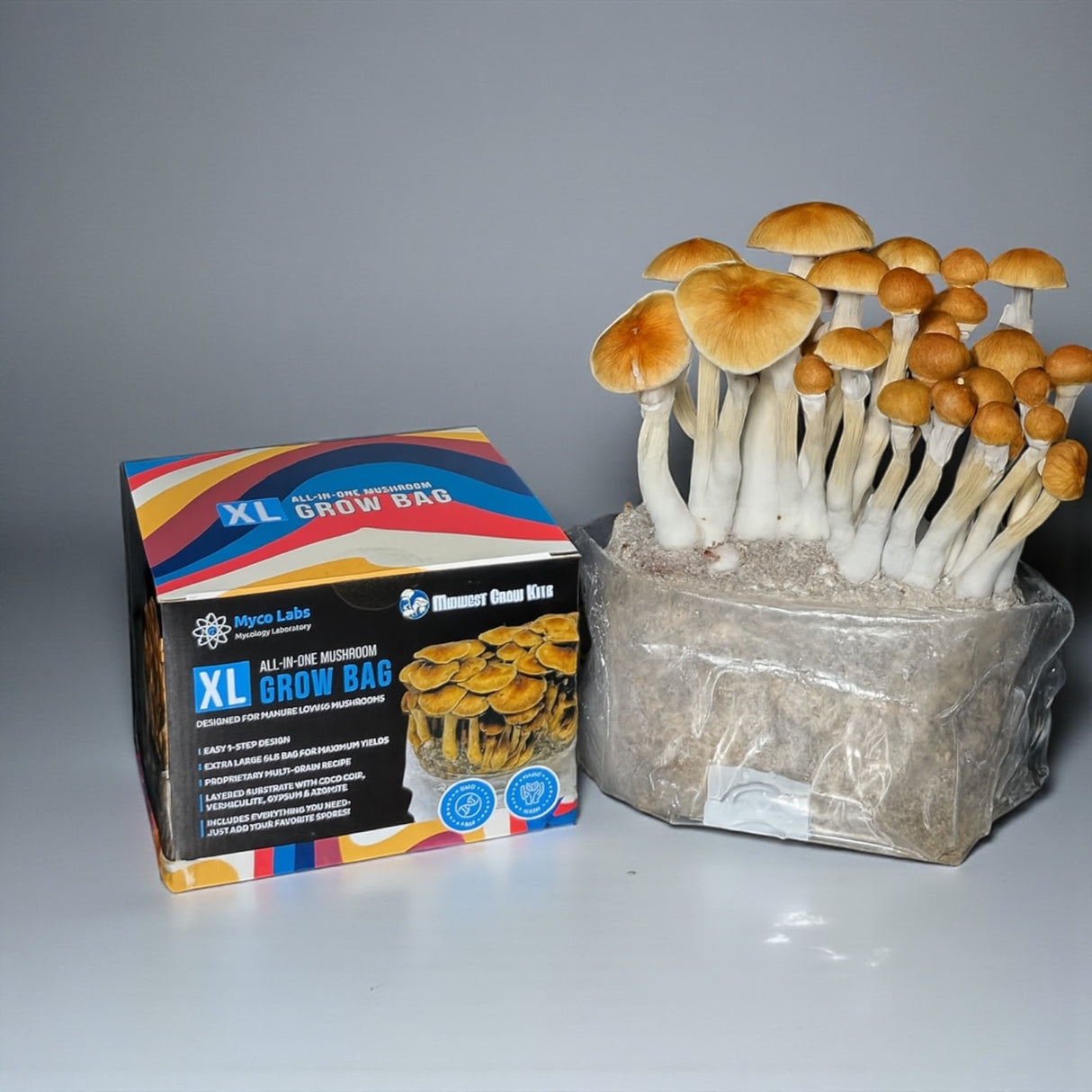 XL All-in-One Mushroom Grow Bag (6 lbs) for Manure Loving Mushrooms - Myco Labs Bulk Casing/Growing (Image 4)