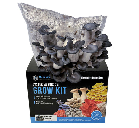 Picture of King Blue Oyster Mushroom grow kit