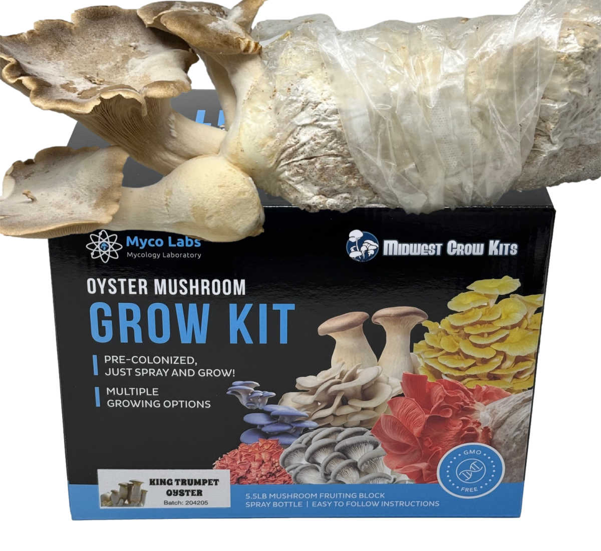 King Trumpet Oyster Grow Kit