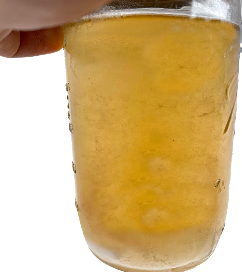 Premium Liquid Culture Kit