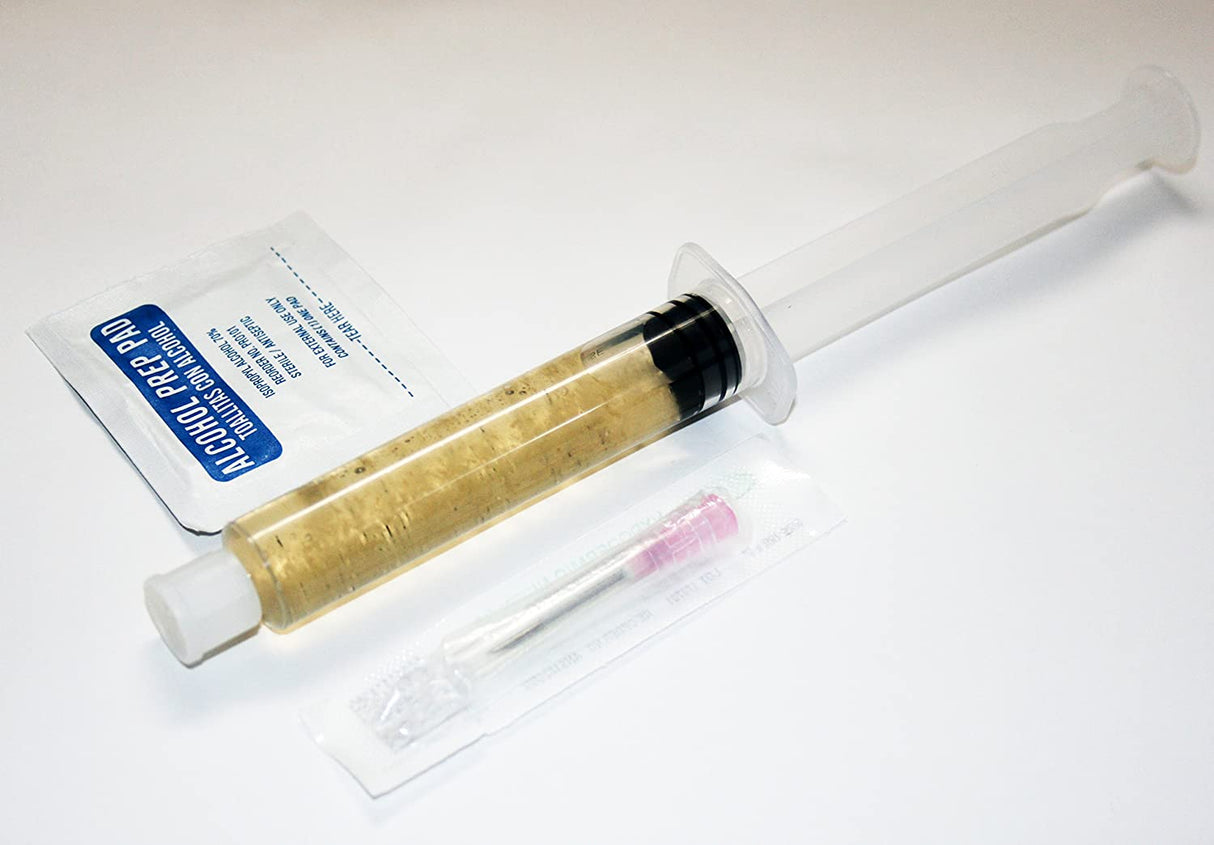 King Trumpet Oyster Liquid Culture Syringe