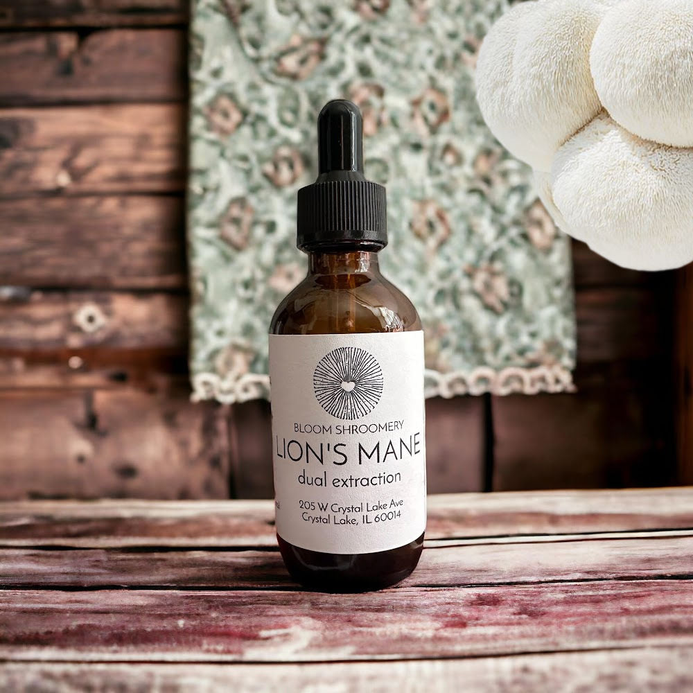Lion's Mane Mushroom Tincture
