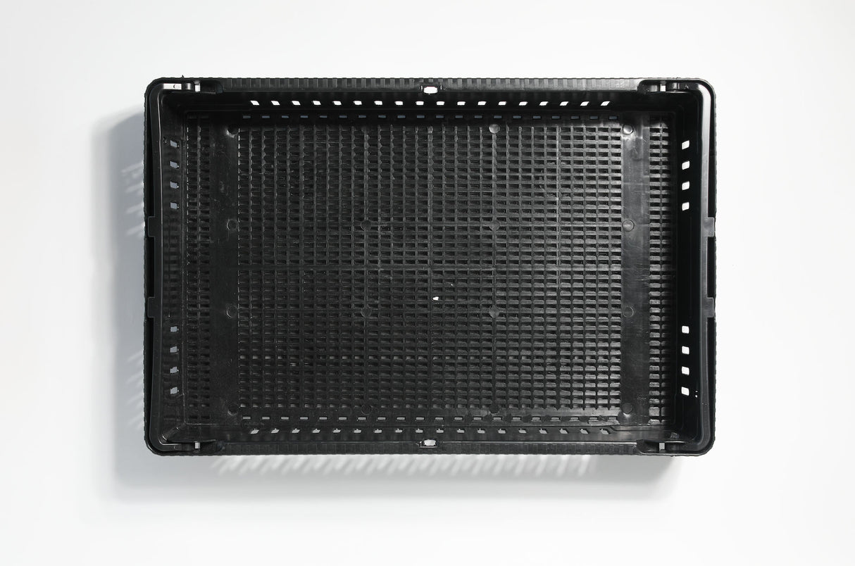 Mushroom Harvest & Drying Tray