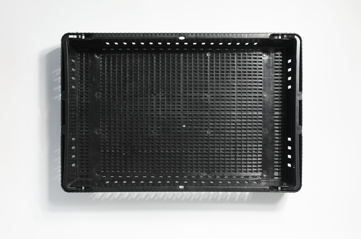 Mushroom Harvest & Drying Tray