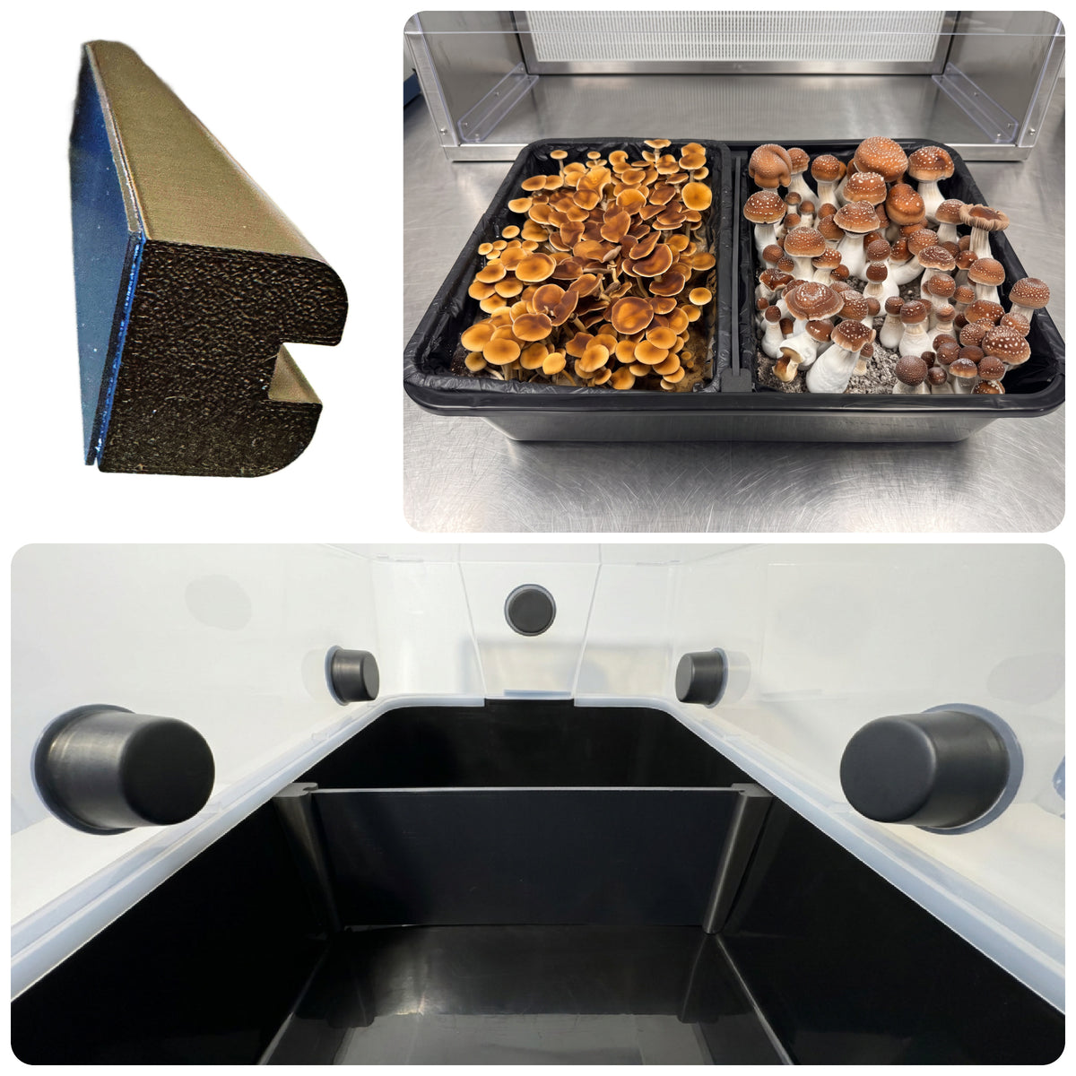 Monotub Divider Kit – Grow 2 Strains in One Tub (Fits 44Q & 66Q)