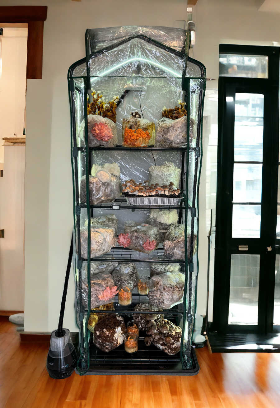 The Monster Monsoon Ecosphere Spawn & Casing Package 3.0 full setup