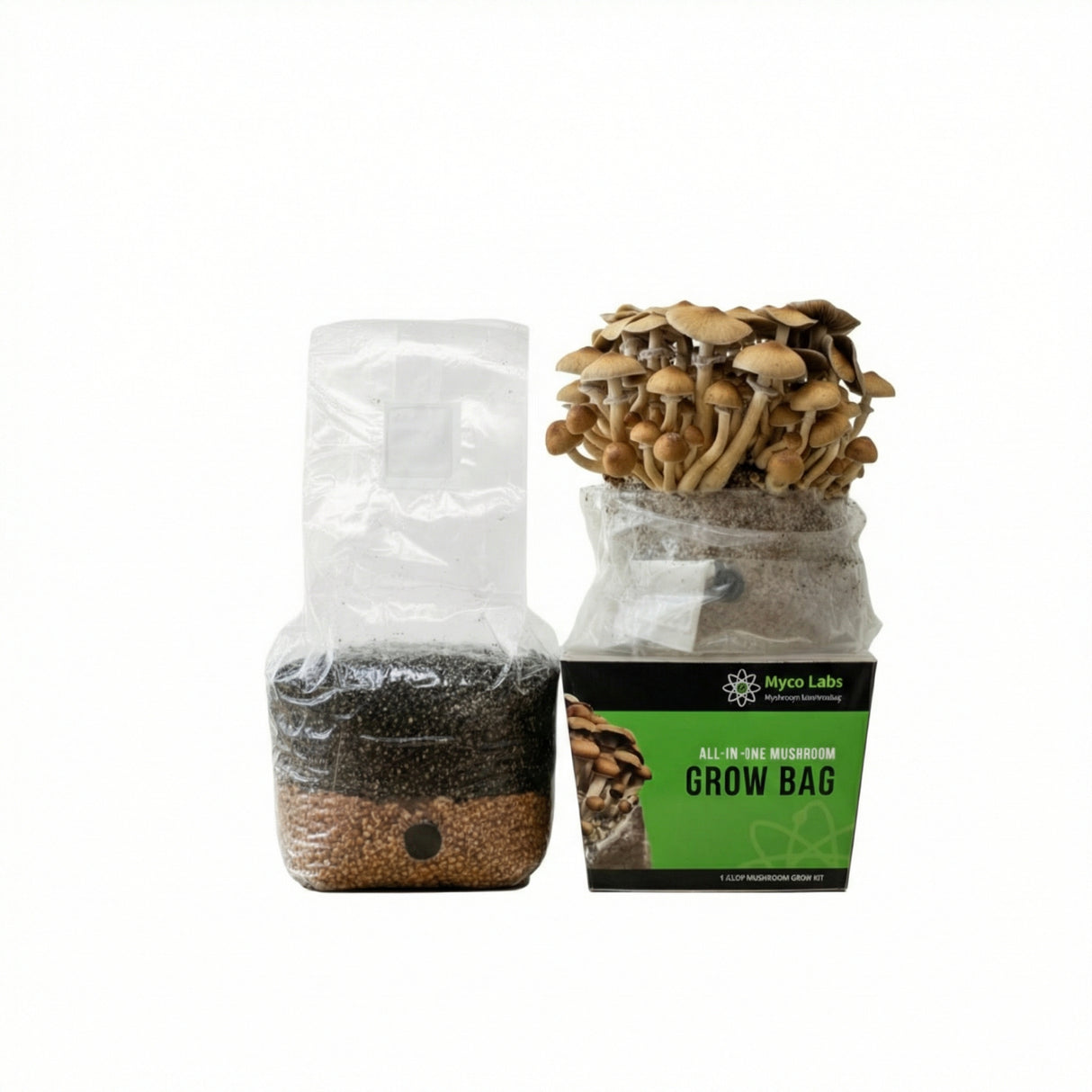 All-in-One Mushroom Grow Bag (4 lbs) for Manure Loving Mushrooms