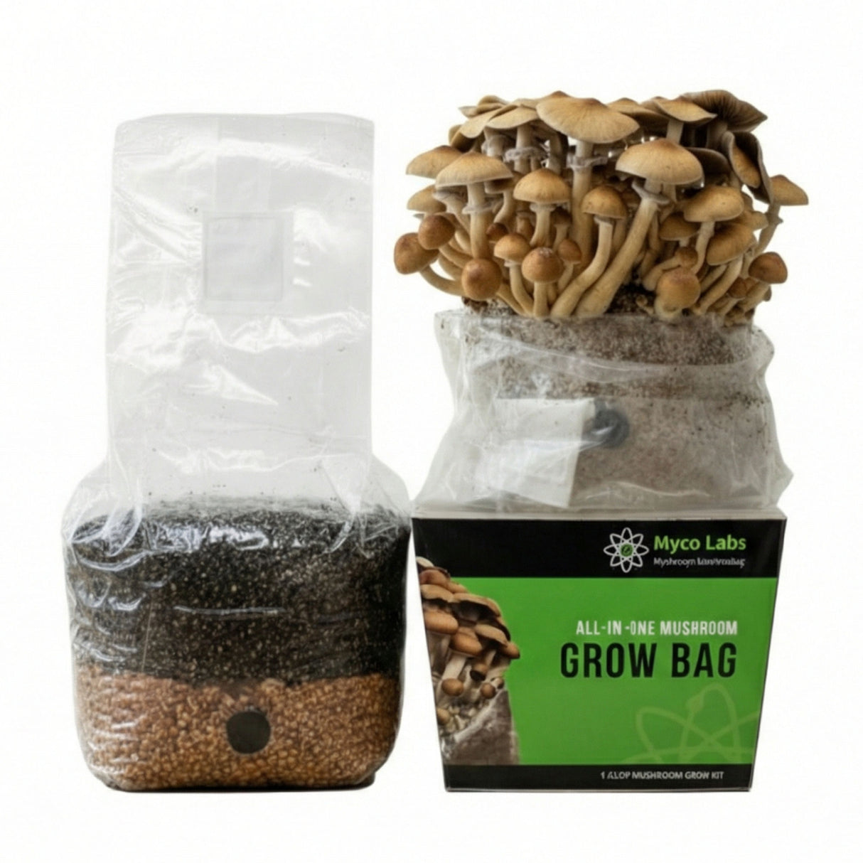 4lb all in one mushroom grow bag