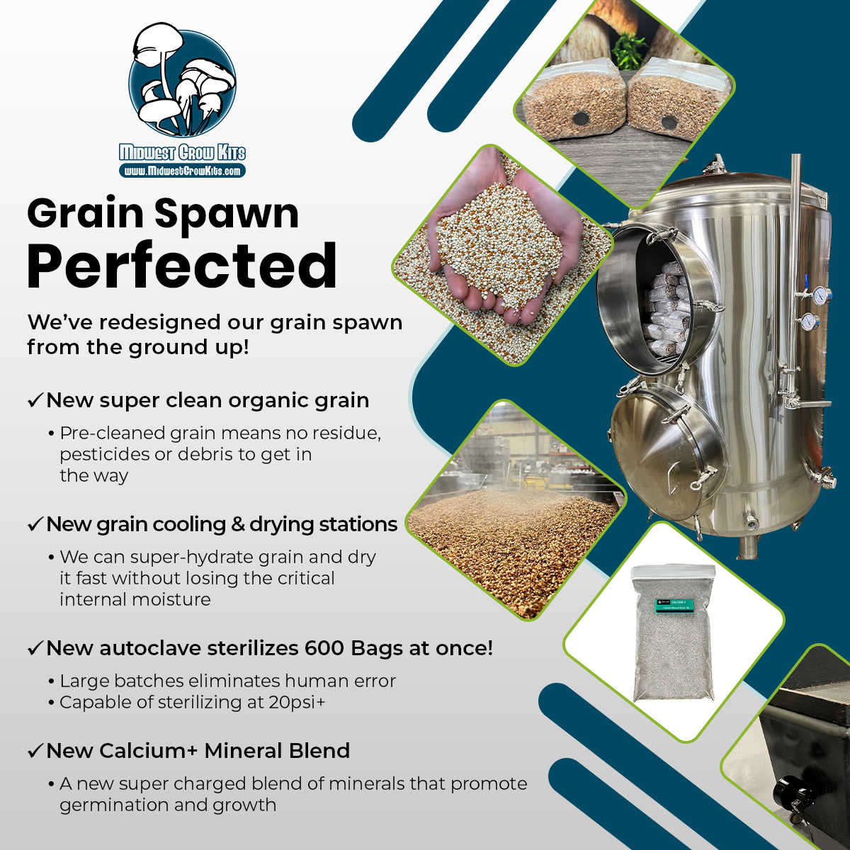 Premium 5-Grain Spawn Bags perfected