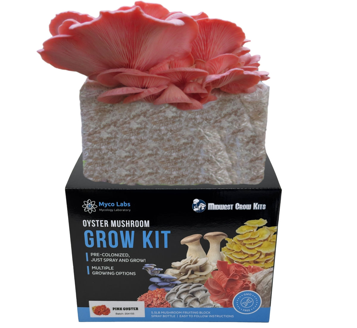 Pink Oyster Mushroom Grow Kit (5lbs)