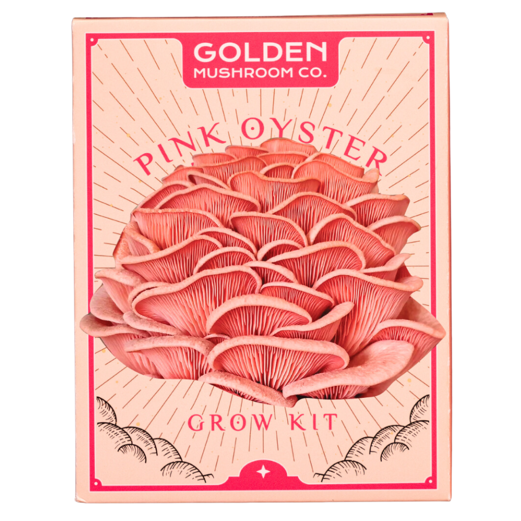 Pink Oyster Mushroom Grow Kit 3LB - Retail Case Pack (10 Kits)