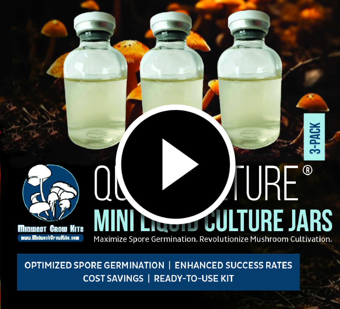 QuickCulture® Mini Spore Germinating Liquid Culture Jars video