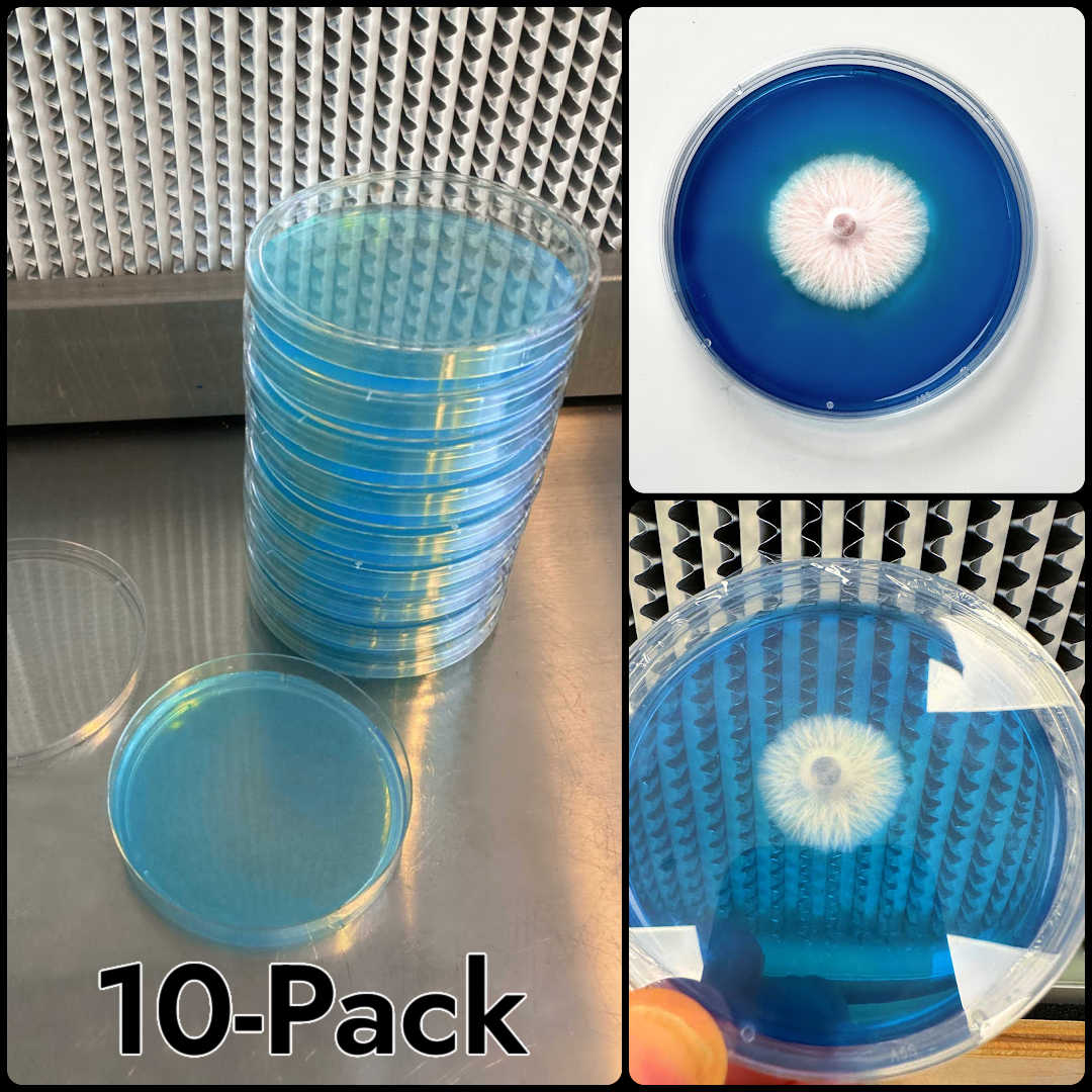 Rapid Rhizo Pre-Poured Sterilized Agar Plates (10-Pack)