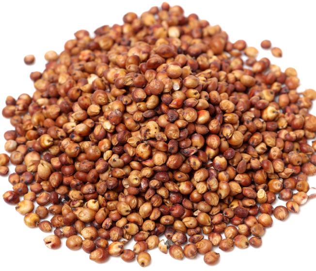 Bulk Red Sorghum (Milo) Grain (40 Pounds)