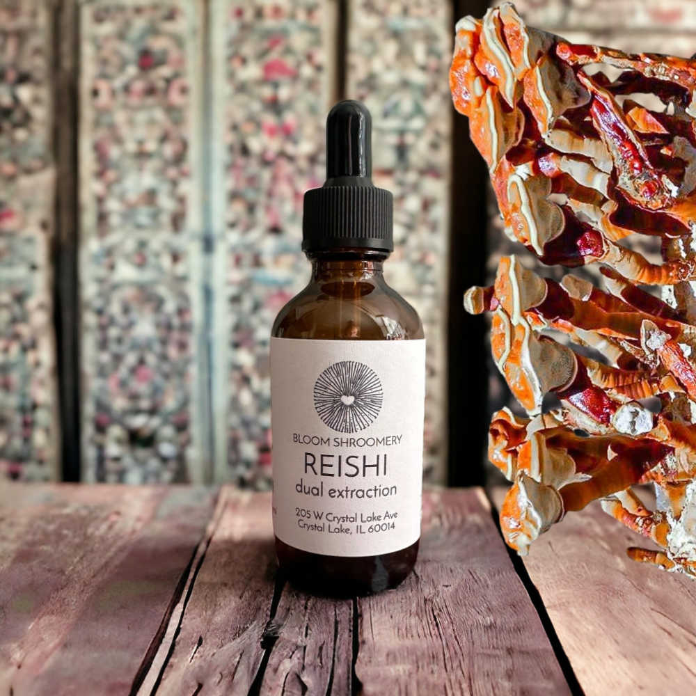 Reishi Dual Extraction Organic Mushroom Tincture