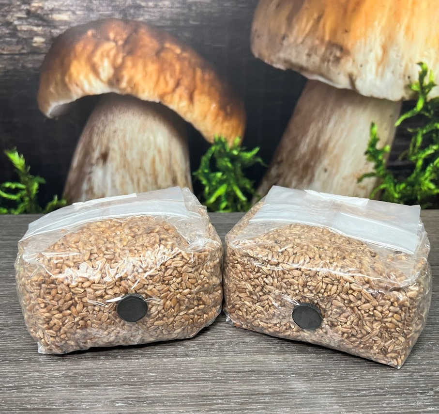 The Original Rye Spawn Bags 2 pack