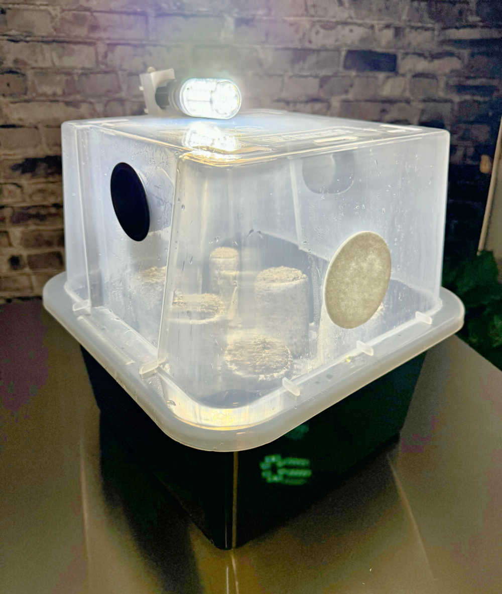 Simple Grow Kit Light